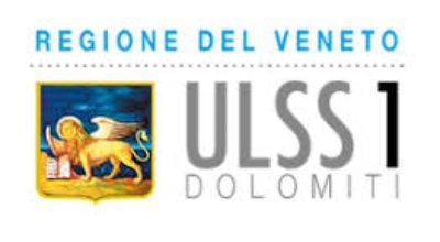 logo ulss-regione